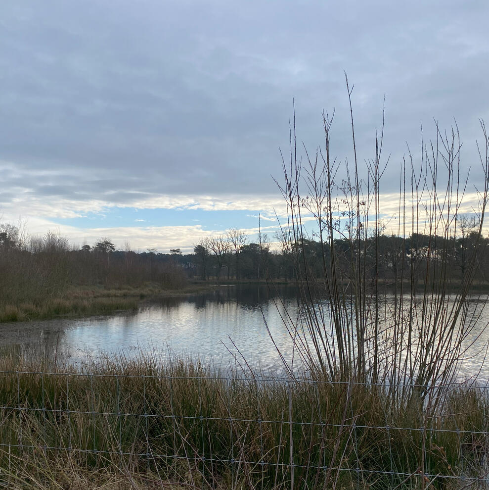 Wandeling Kempen Vertekijkers wandeling Kempen